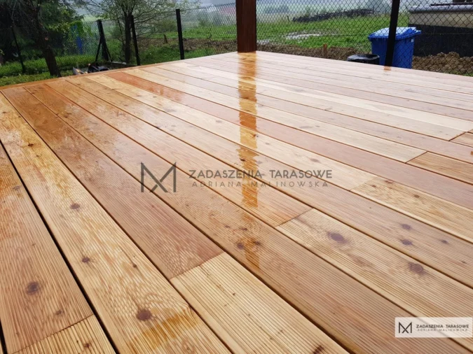 taras z modrzewia syberyjskiego mokry